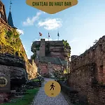 Escapade Alsacienne à 30 Min De Strasbourg Appartement *