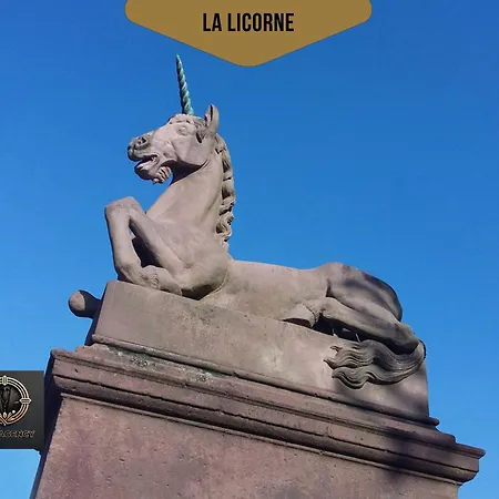 Duplex Familial- Vue Canal - Wifi Fibre *