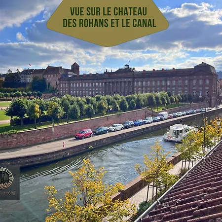 Escapade Alsacienne A 30 Min De Strasbourg 公寓 萨维尔纳