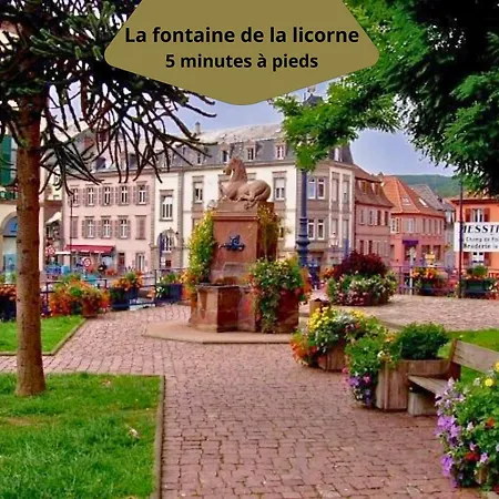 Escapade Alsacienne A 30 Min De Strasbourg 公寓 萨维尔纳