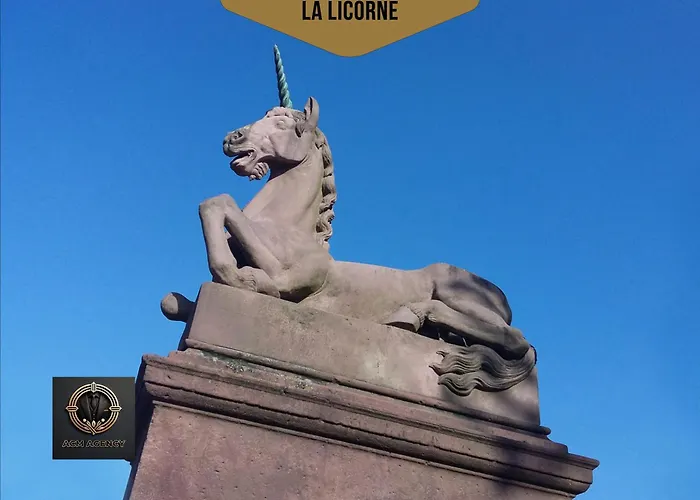 Duplex Familial- Vue Canal - Wifi Fibre *