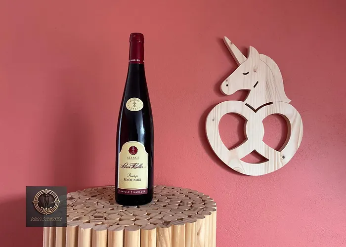 Duplex Familial- Vue Canal - Wifi Fibre