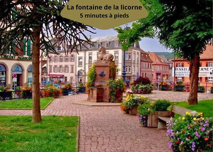 Duplex Familial- Vue Canal - Wifi Fibre Lejlighed Saverne