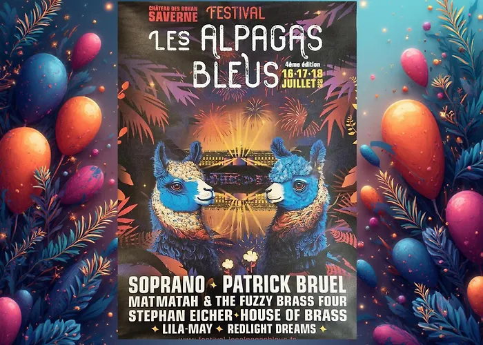 Duplex Familial- Vue Canal - Wifi Fibre *